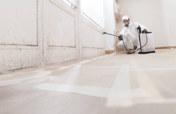 24/7 Emergency Black Mold Remediation experts in Franklin Park, NJ